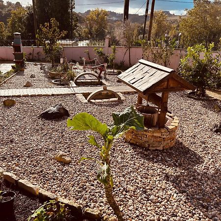 Mae Home Story Caldas Da Rainha Dış mekan fotoğraf