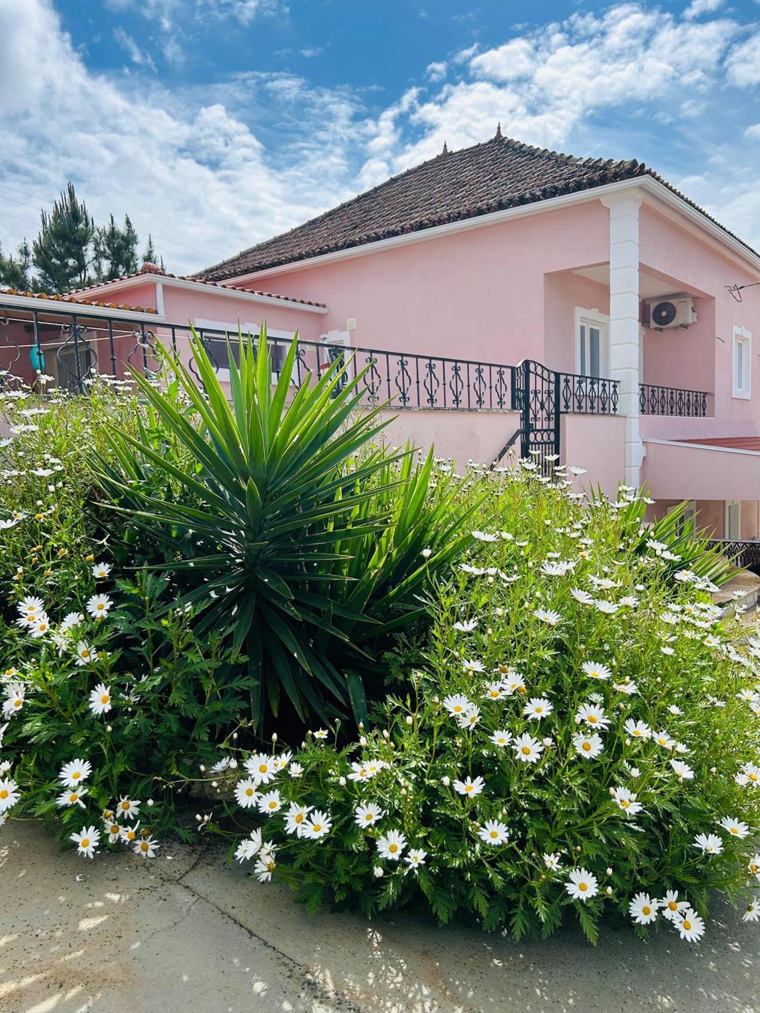 Mae Home Story Caldas Da Rainha Dış mekan fotoğraf
