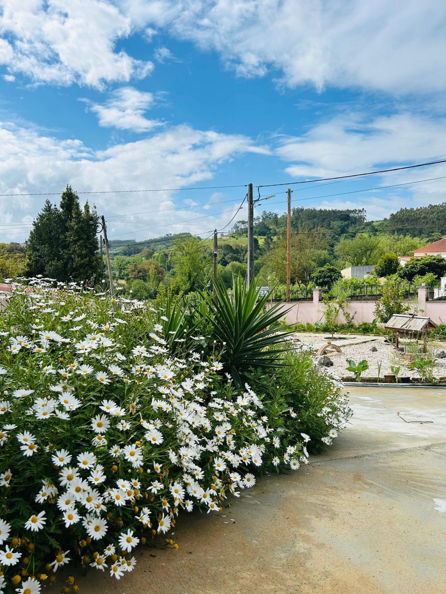 Mae Home Story Caldas Da Rainha Dış mekan fotoğraf