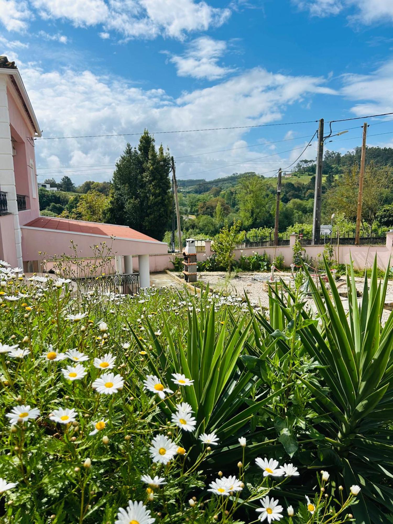 Mae Home Story Caldas Da Rainha Dış mekan fotoğraf